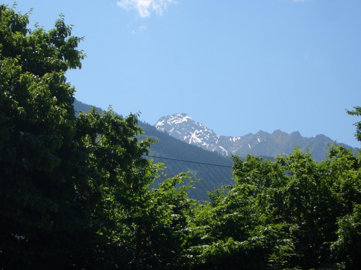 Meckyheim Apartment Майерхофен Екстериор снимка